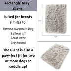 Treat A Dog Puprug  Fur Memory Foam Orthopedic Dog Bed, Premium Memory Foam Base, Ultra-Soft  Fur Cover, Modern and Attractive  (Multiple Sizes &amp; Styles)
