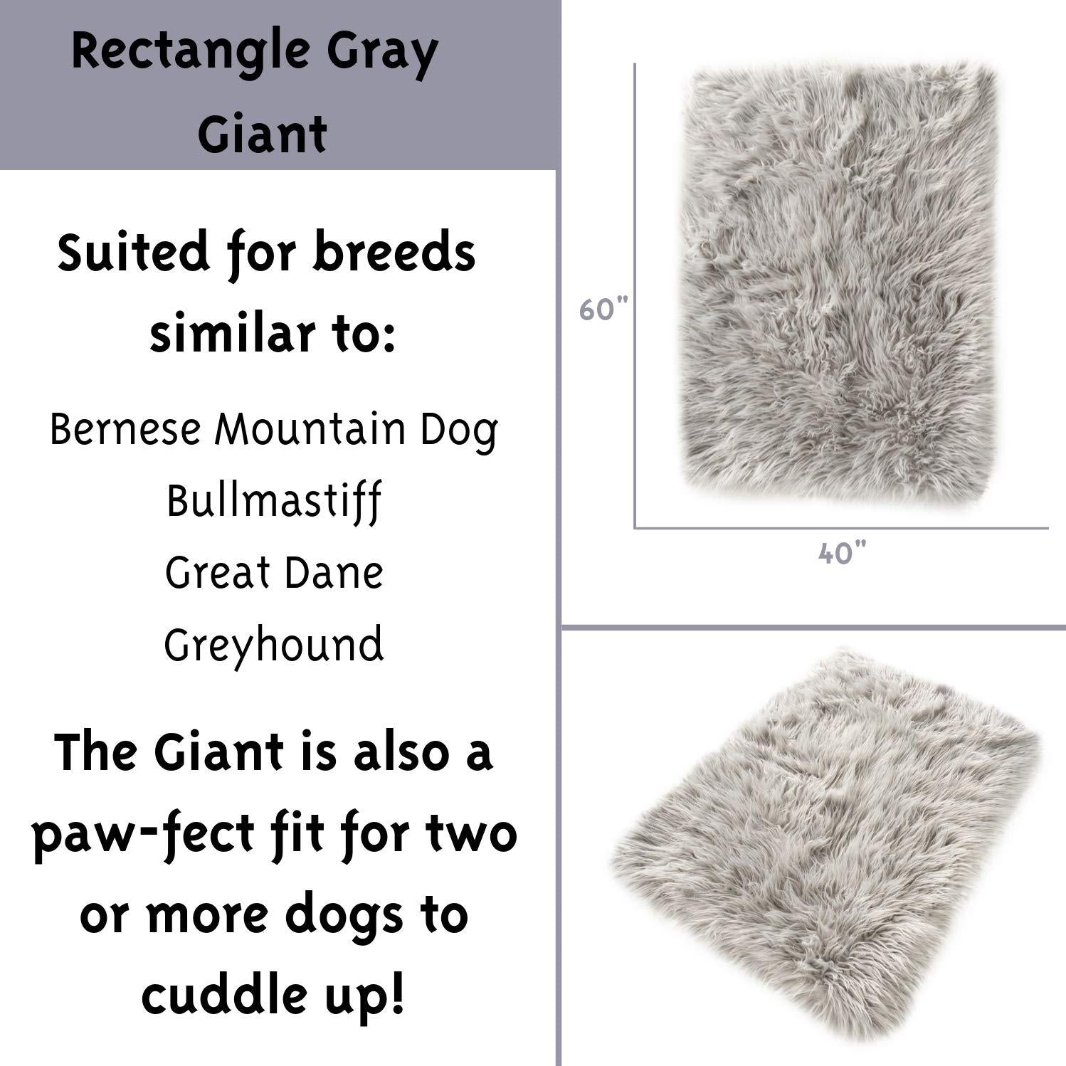 Treat A Dog Puprug  Fur Memory Foam Orthopedic Dog Bed, Premium Memory Foam Base, Ultra-Soft  Fur Cover, Modern and Attractive  (Multiple Sizes &amp; Styles)