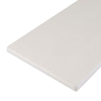 s.r. smith sr smith fibre-dive replacement diving board - radiant white