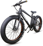 Fat Tire Electric Bike Beach Snow Bicycle 26" 4.0 inch Fat Tire Electric Bicycle 300W36V10A/500W48V12A Electric Mountain ebike for Adults with 6 Speeds Lithium Battery,Smart LCD Display