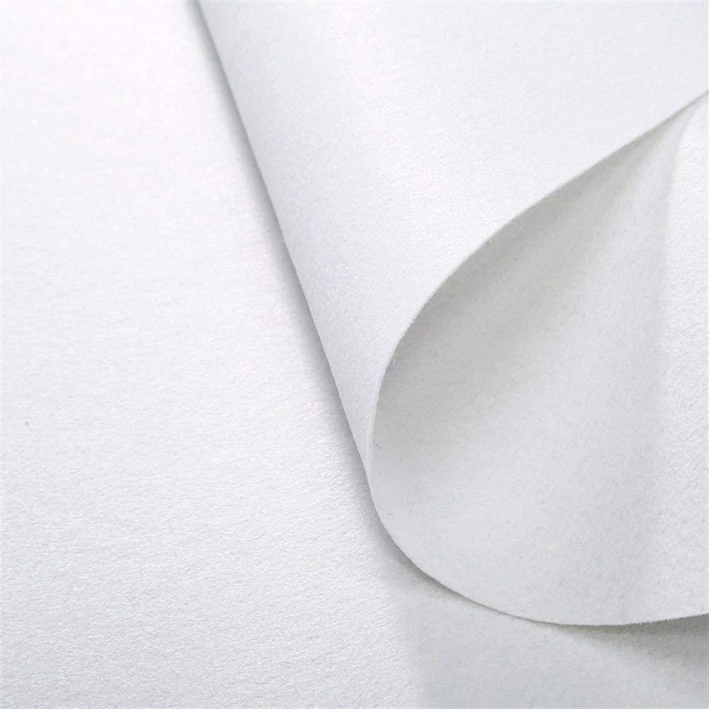 Disposable Wedding Rug - Essential Hollyand Christmas Party Decoration Carpet - Party Supplies - Wear-Resistant, Non-Slip,Environmentally Friendly - Size Can Be Customized HENGXIAO