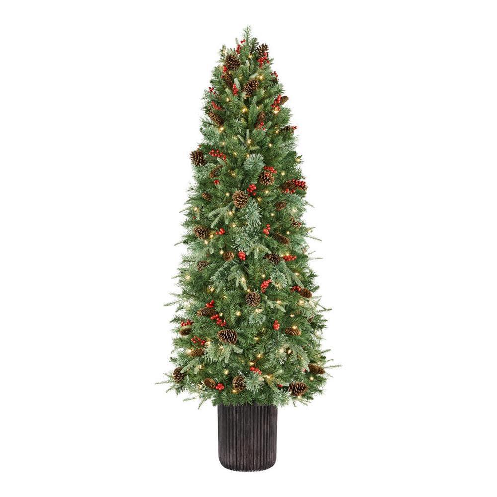 6.5 ft Paces Hill Pine Potted Christmas Tree