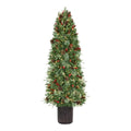6.5 ft Paces Hill Pine Potted Christmas Tree