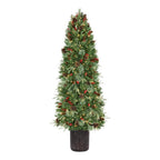 6.5 ft Paces Hill Pine Potted Christmas Tree