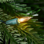 6.5 ft Paces Hill Pine Potted Christmas Tree