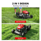 21-Inch Gas Lawn Mower, 144cc 4-Stroke OHV Engine, 2-in-1 Push Lawn Mower with Mulching &amp; Side Discharge, 6-Position Height Adjustment, 7-Inch Front/10-Inch Rear Wheels