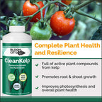 organic liquid seaweed and kelp fertilizer supplement by bloom city, 5 gallon (640 oz) concentrated makes 3750 gallons
