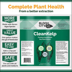 organic liquid seaweed and kelp fertilizer supplement by bloom city, 5 gallon (640 oz) concentrated makes 3750 gallons