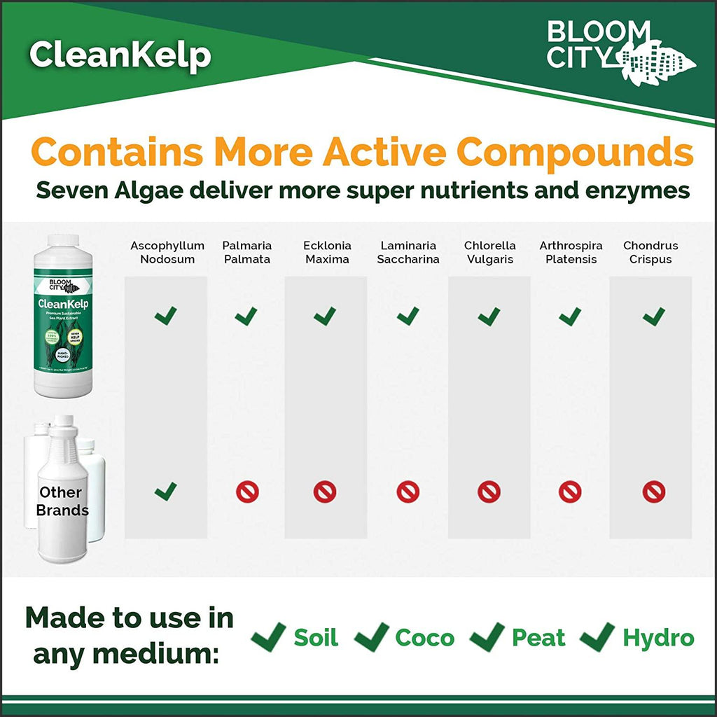 organic liquid seaweed and kelp fertilizer supplement by bloom city, 5 gallon (640 oz) concentrated makes 3750 gallons