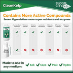 organic liquid seaweed and kelp fertilizer supplement by bloom city, 5 gallon (640 oz) concentrated makes 3750 gallons