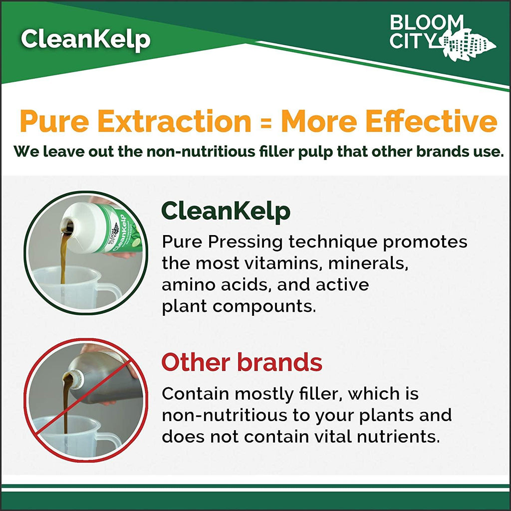 organic liquid seaweed and kelp fertilizer supplement by bloom city, 5 gallon (640 oz) concentrated makes 3750 gallons