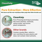 organic liquid seaweed and kelp fertilizer supplement by bloom city, 5 gallon (640 oz) concentrated makes 3750 gallons