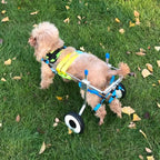 Dinfoger Walk Pet Wheelchair for Assisted Handicapped Hind Legs Adjustable Small Dog Aid with