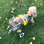 Dinfoger Walk Pet Wheelchair for Assisted Handicapped Hind Legs Adjustable Small Dog Aid with