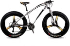 CHICAI Student Bike Adult 26-inch High-Carbon Beach Snow Fat Bike Mountain Cross-Country Steel Ultra-Wide Tire Sports Bike 21-30speed Low-Speed Racing (Size : 24-Speed)