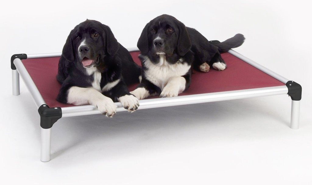 Kuranda Dog Bed - Chewproof - All-Aluminum (Silver) - Indoor/Outdoor - Elevated - Easy to Clean - Water Proof - Breathability - Vinyl Weave Fabric