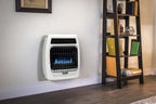 Dyna-Glo10,000 BTU Liquid Propane Blue Flame Vent Thermostatic Wall Heater