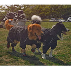 Dog Pet Coat,Warm Outfit Clothes,Waterproof Windproof Four Legs Dog Jackets,Cozy Dog Apparel for Small Medium LarDogs