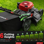 21-Inch Gas Push Lawn Mower, 144cc 4-Stroke Engine, 6-Position Adjustable Cutting Height, 3-in-1 Mulching, Side Dischar&amp; Rear Bag for Garden Landscaping
