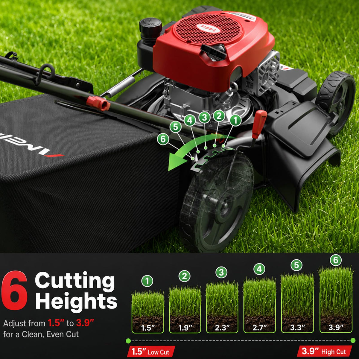 21-Inch Gas Push Lawn Mower for LarYard, 144cc 4-Stroke Engine, 6-Position Adjustable Cutting Height, 3-in-1 Mulching, Side Dischar&amp; Rear Bag for Garden Landscaping