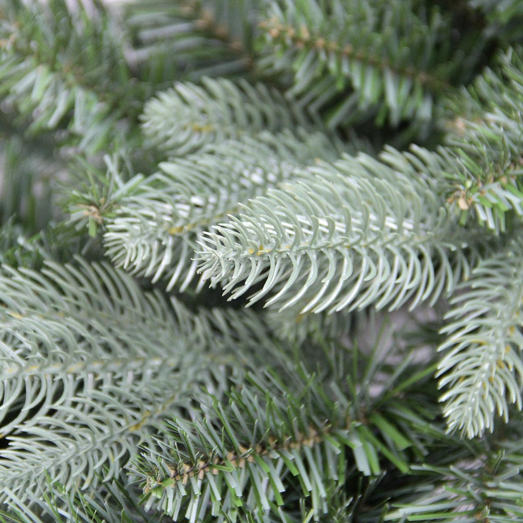 Northlight 48 in. Washington Frasier Fir Artificial Unlit Christmas Wreath