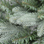 Northlight 48 in. Washington Frasier Fir Artificial Unlit Christmas Wreath