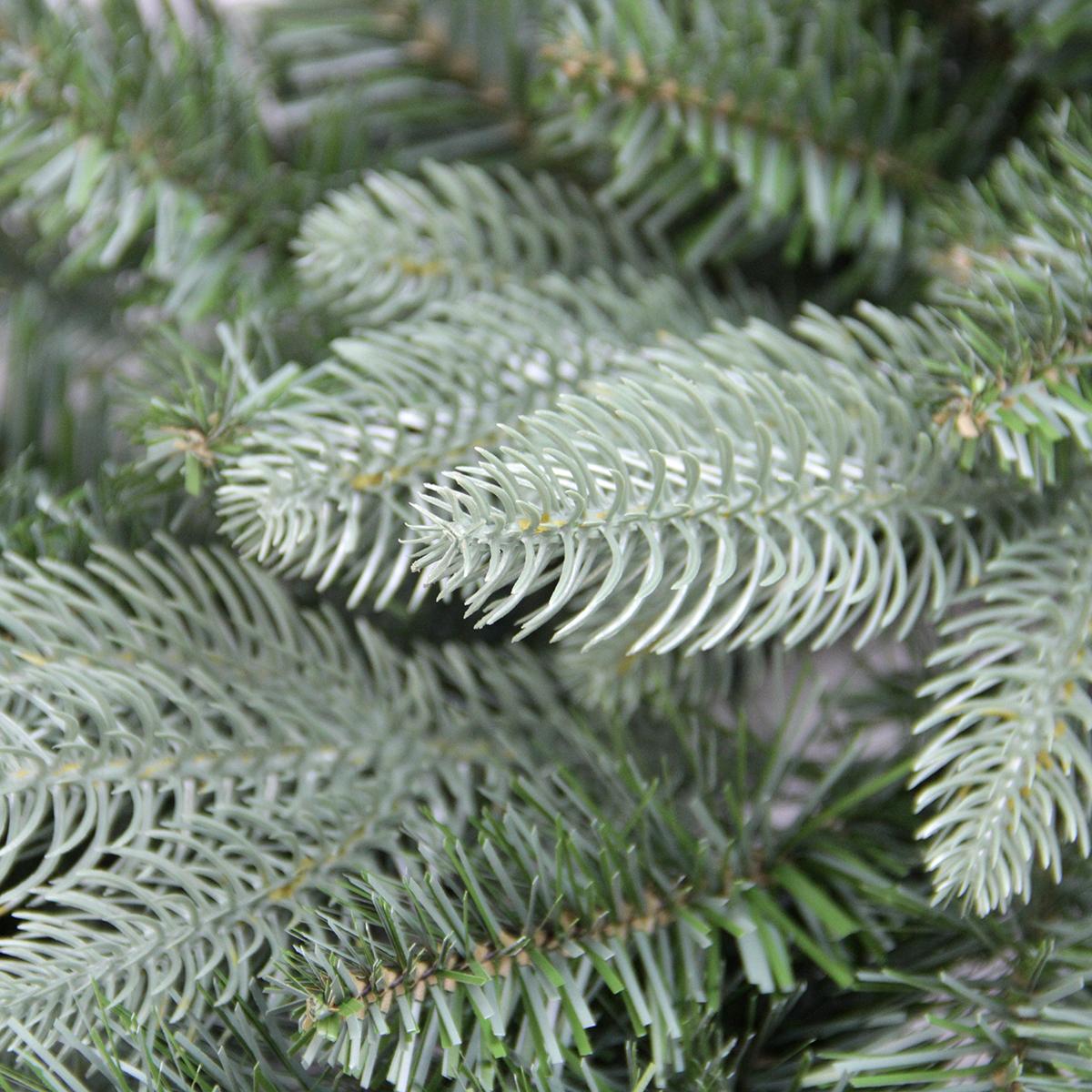Northlight 48 in. Washington Frasier Fir Artificial Unlit Christmas Wreath