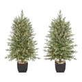 4 ft Potted Christmas Tree 2-Pack