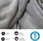Micro Plush Electric Heated Blanket with Digital Controller, Queen, Grey