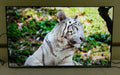 hisense - 55" class u8g series quantum 4k uled android tv