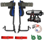 TWSOUL Tree Climbing Gear, with Adjustable Climbing Belt and Rope, 304  Steel Tree Climbing Spikes 2 Gears for Climbing Trees, Outdoor Jungle Survival, PicFruit, Sports
