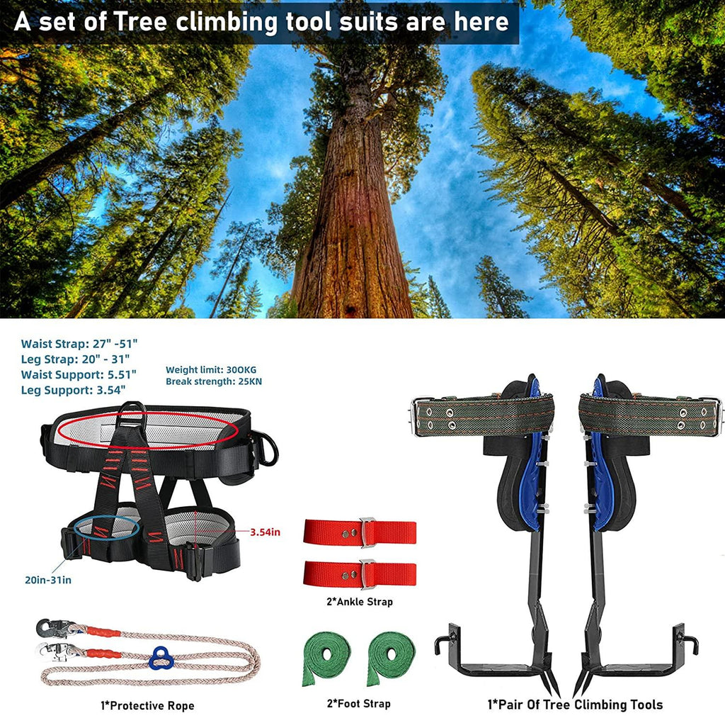 TWSOUL Tree Climbing Gear, with Adjustable Climbing Belt and Rope, 304  Steel Tree Climbing Spikes 2 Gears for Climbing Trees, Outdoor Jungle Survival, PicFruit, Sports
