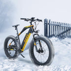 Adults Electric Bike 750W BaFang Motor Fat Tire Electric Mountain Bicycle Samsung 48V Lithium Battery  7-Speed Snow Beach E-Bike Dirt Bicycles