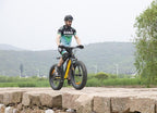 Sarahbridal 750W BAFANG Motor Electric Bike 26” Aluminum Electric Mountain Bike 7 Speed E-Bike, 48V Lithium Samsung Battery Snow Beach E-Bike for Adults