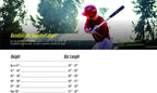 Easton 2018 USA Baseball 2 1/4 S450 Youth Baseball Bat -12, 31"/19 oz, 12 length to weight ratio By Brand Easton