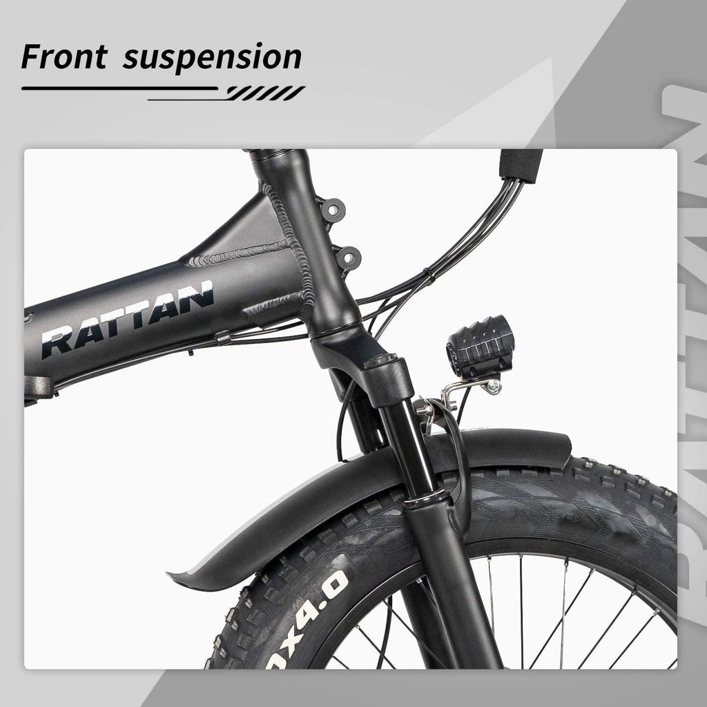 R RATTAN 750W 500W 20Inch Folding Electric Bike I-PAS 7 Speed 48V 13AH Removable Lithium Battery 4.0/3.0 All-Terrain Fat Tire 4.3" LCD Display Beach Commute Bicycle Couple Models E-Bike