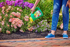 miracle-gro shake 'n feed all purpose plant food, plant fertilizer, 4.5 lbs. (6-pack)