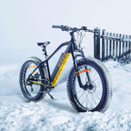 Electric Bicycles for Adults, 750W 48V Motor E-Bike with Removable Lithium Battery, 26" 4.0 inch Fat Tire 7 Speeds Snow Beach Electric Bikes, Hand Throttle &amp; Pedal Assist