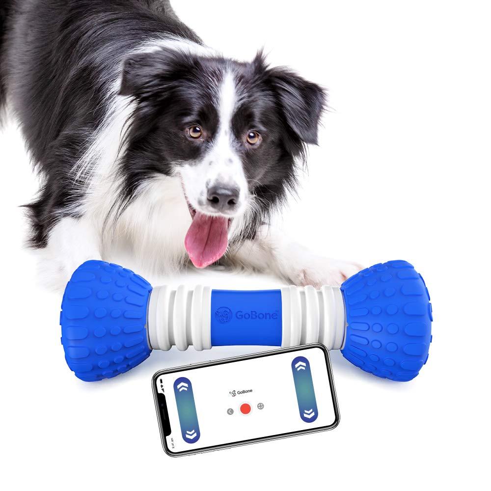 GoBone Interactive App-Enabled Smart Bone for Dogs and Puppies, One Size