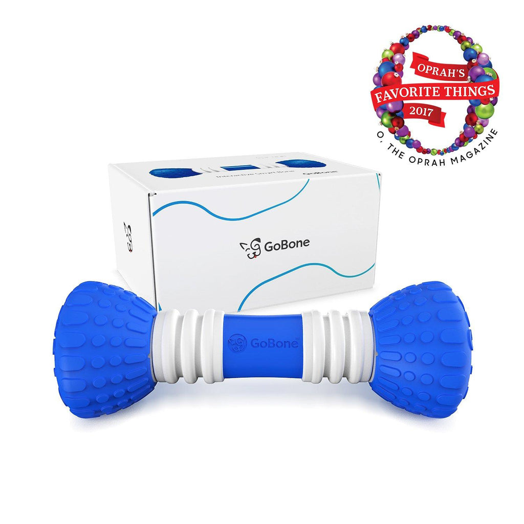 GoBone Interactive App-Enabled Smart Bone for Dogs and Puppies, One Size