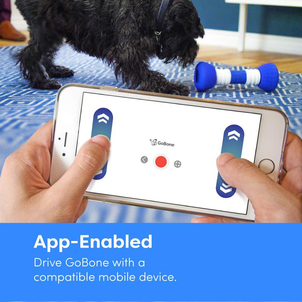 GoBone Interactive App-Enabled Smart Bone for Dogs and Puppies, One Size