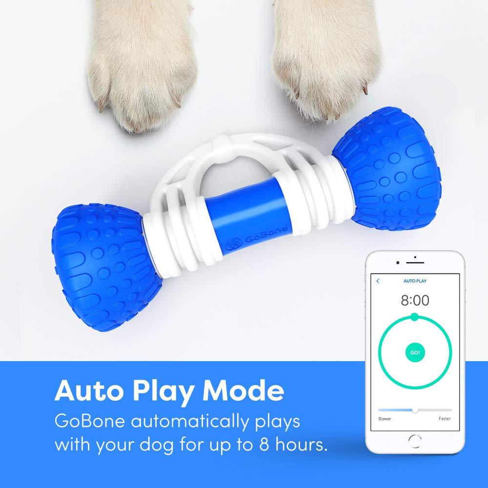 GoBone Interactive App-Enabled Smart Bone for Dogs and Puppies, One Size