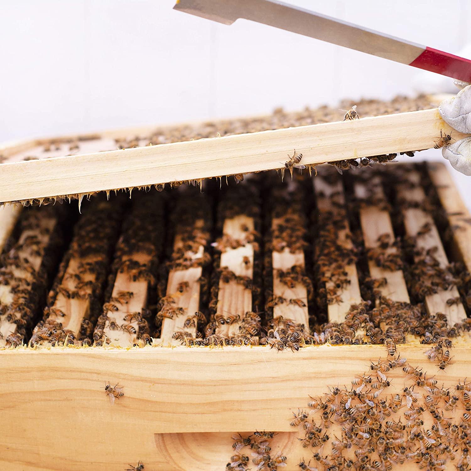 vivo complete beekeeping 20 frame beehive box kit, 10 medium, 10 deep, langstroth bee hive bee-hv01