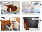 Doggyball DB-101 Automatic Ball Launcher Unlined Made in Korea Dog Toy Tennis Ball Throwing Machine for Dogs