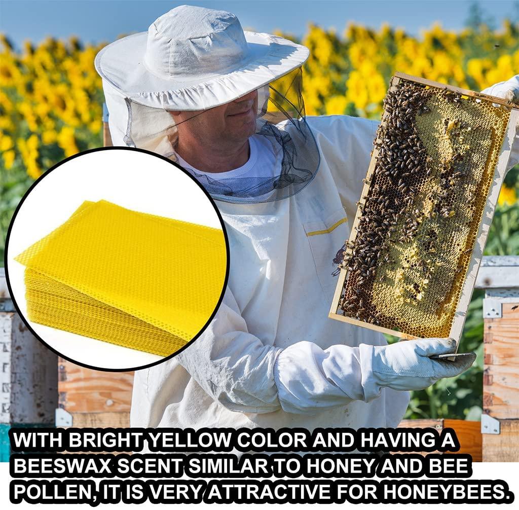 bee keeping tools natural beeswax sheets beekeepers supply beekeeping accessory beehive foundation for candle making bee hives and supplies starter for beginners 30 pieces