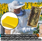 unknows 30 pieces natural beeswax sheets beekeepers necessary bee honey sheets beekeeping utility accessories beehive foundation bee hives and supplies starter for beginners 30 pieces