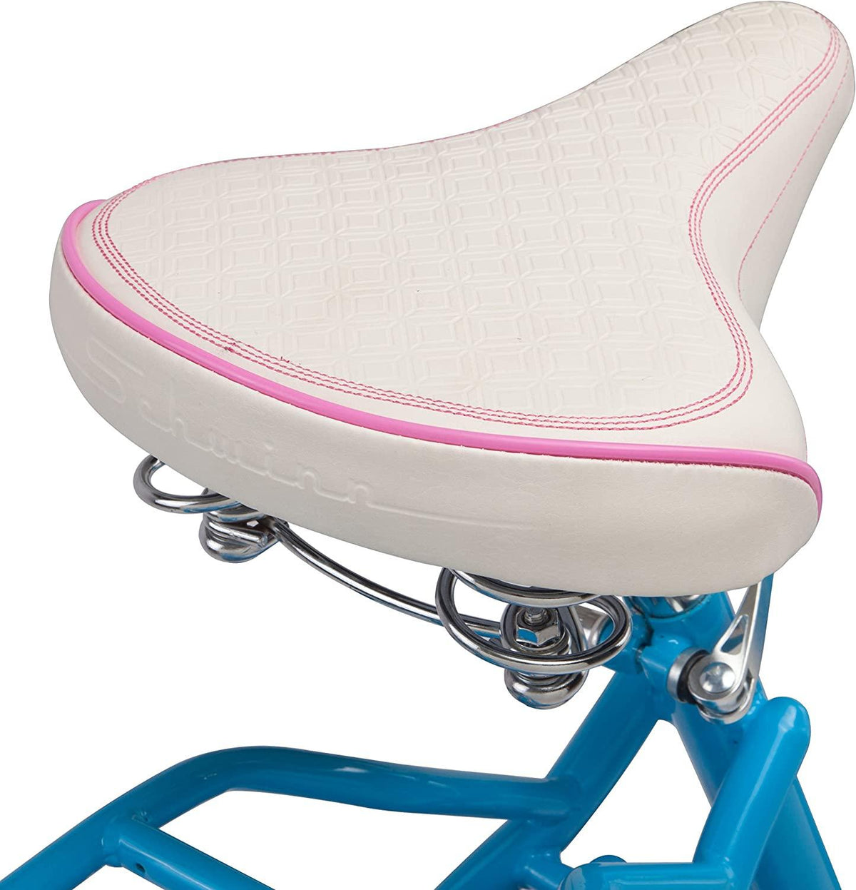 Schwinn BayCruiser Bike, Featuring Steel Step-Through Frame and Single-Speed Drivetrain with Full Wrap Fenders, 24-Inch Wheels