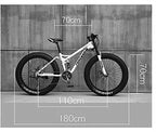 CHICAI Adult 26-inch Mountain Cross-Country High-Carbon Steel Beach Snow Fat Bike Ultra-Wide Tire Sports Bike 21-30 Speed Low-Speed Racing Student Bike (Size : 24-Speed)