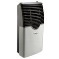 Martin Direct Vent Propane Wall Heater with Built In Thermostat, 8,000 BTU