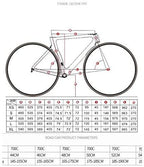 Twitter Thunder 700C 22 Speed Ultra Lightweight  Carbon Fiber Road Racing Bike Bicycle New
